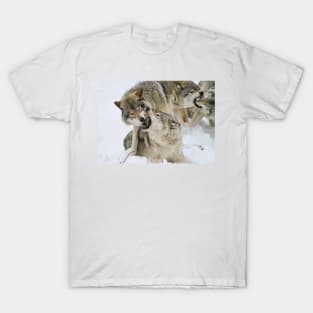 Gray Wolves T-Shirt